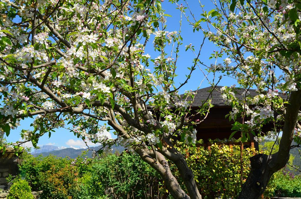Casa Rural La Era Sieste Екстериор снимка